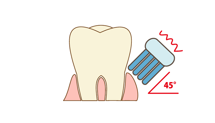 歯と歯茎の境目に向かって斜め45度で歯ブラシを当てるイメージイラスト