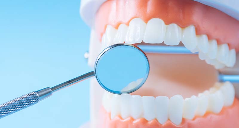 歯の模型とお口の中を見るための小さなミラー