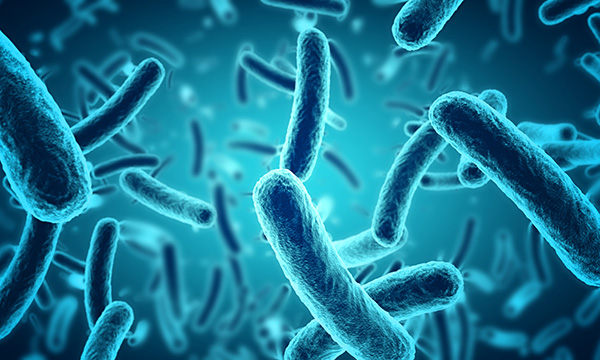 細菌のイメージ