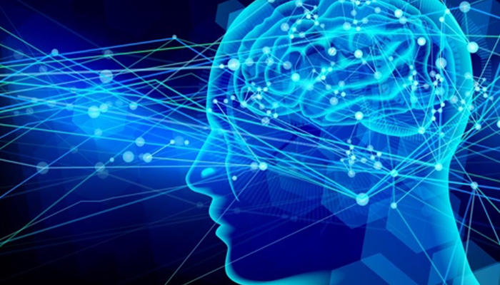 歯並びやかみ合わせは脳の発達に影響